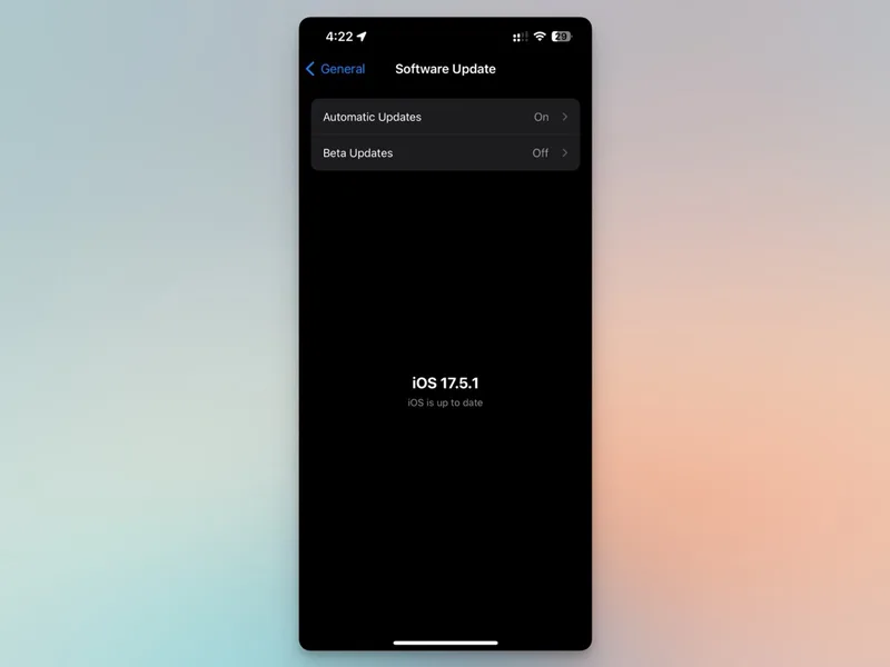 iPhone Software Update Settings